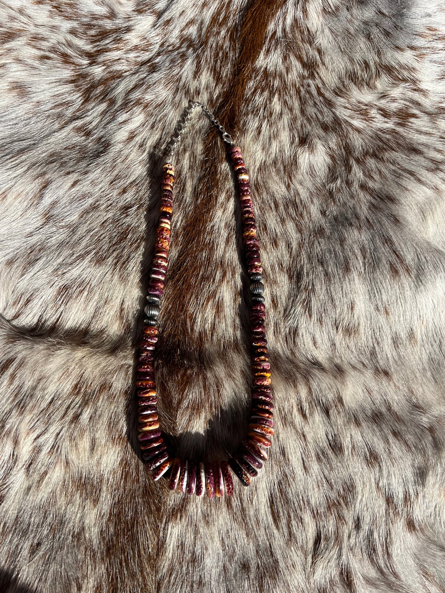 Purple Spiny