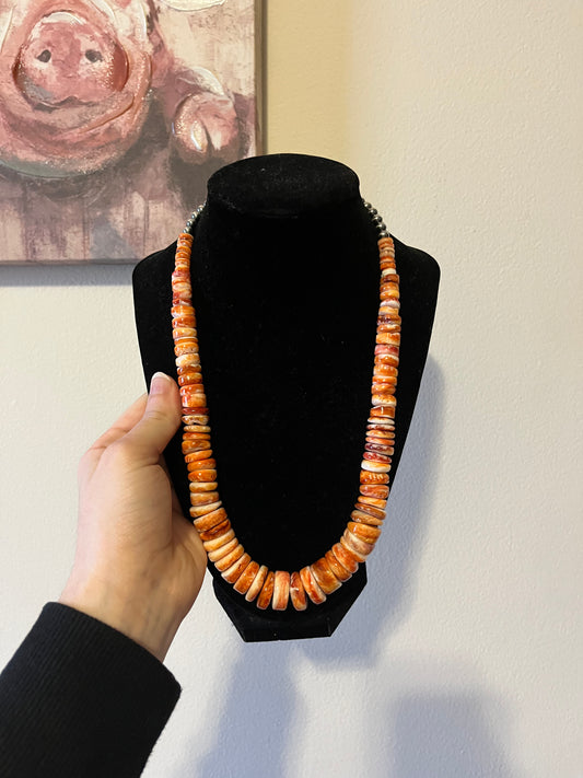 Spiny Oyster with Navajo Pearl